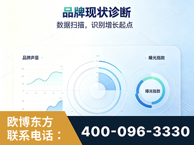 阿克苏-品牌现状诊断